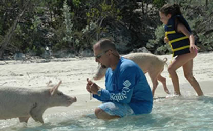Swim with the Pigs in Freeport | Bahamas Ferry to Bahamas Swim with the Pigs Bahamas Ferry to Bahamas Swim with the Pigs