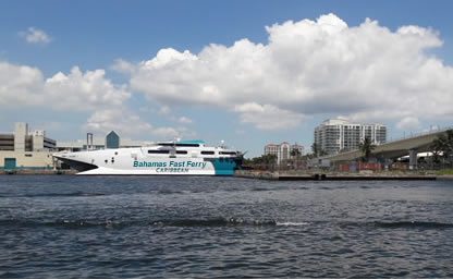 Swim with the Pigs in Freeport | Fast Frerry to Bahamas Fast Ferry to Bahamas