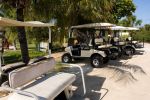 Bahamas day trip | Get around Bimini Bahamas via Golf Cart Get around Bimini Bahamas via Golf Cart